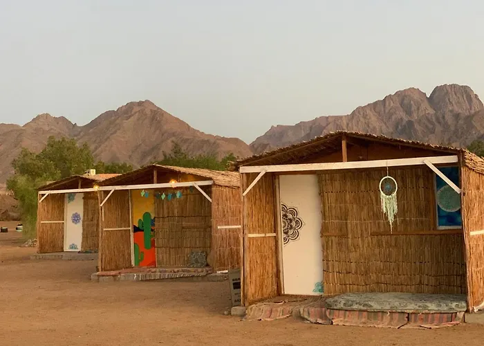 Alwaha Camp Kemping
