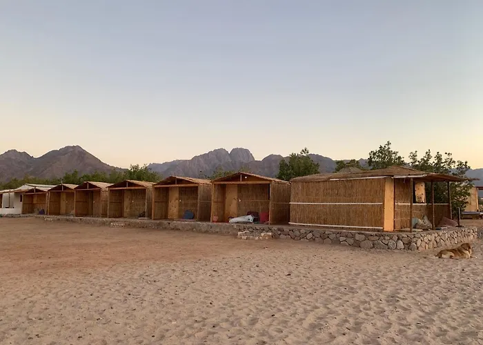 Alwaha Camp Kemping