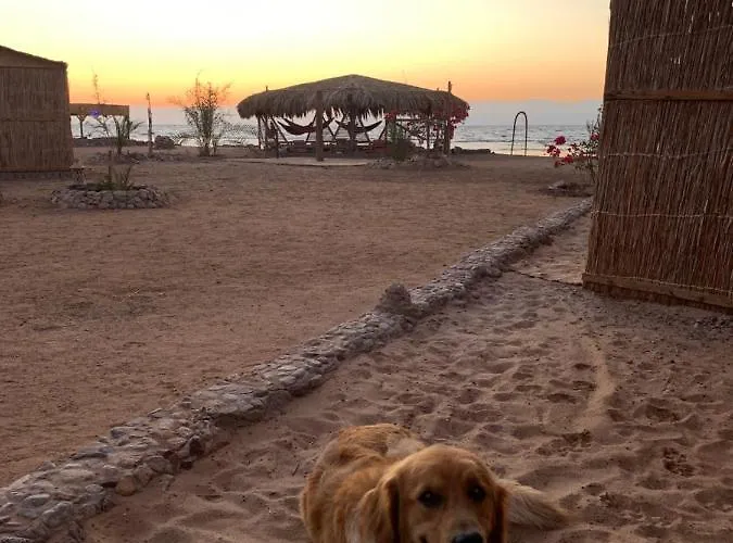 Alwaha Camp Kemping Nuweiba`