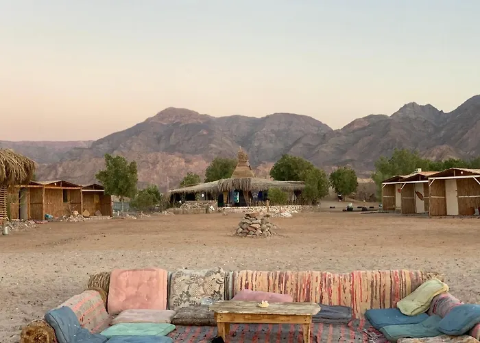 Alwaha Camp