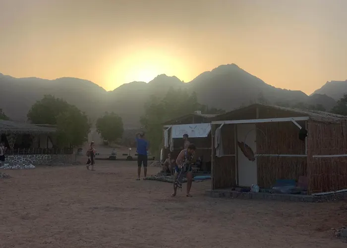 Kemping Alwaha Camp