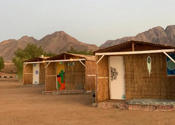Kemping Alwaha Camp *