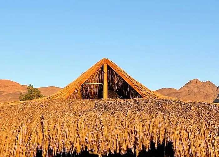 Alwaha Camp Kemping