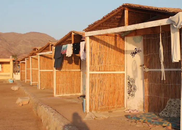 Kemping Alwaha Camp *