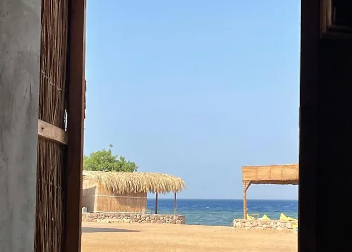 Alwaha Camp Kemping