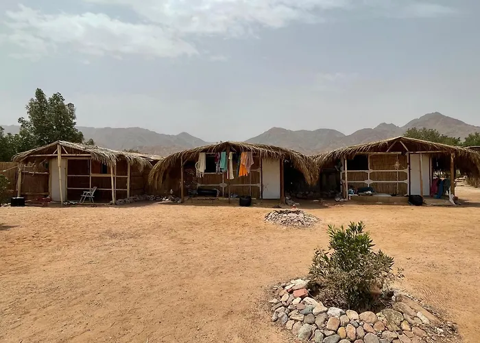 Alwaha Camp *