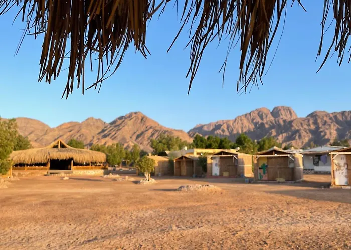 Alwaha Camp *