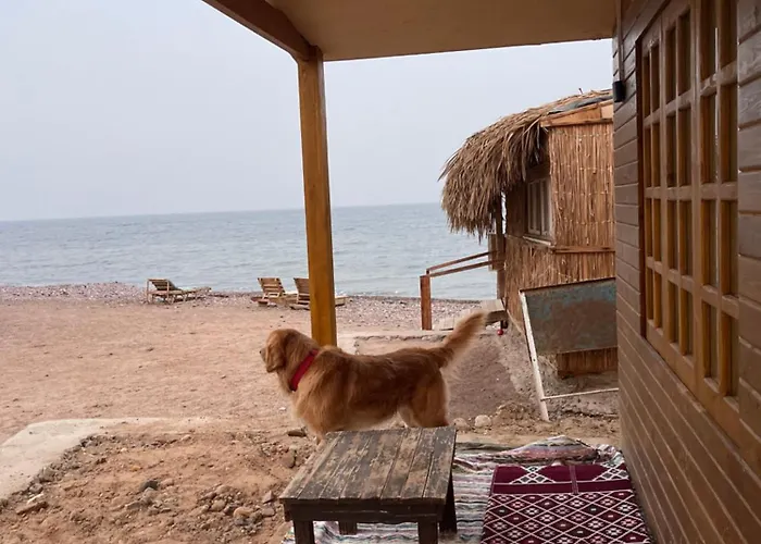 Kemping Alwaha Camp *